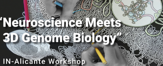 Imagen del Workshop Neuroscience Meets 3D Genome Biogoly