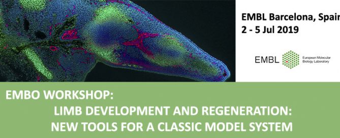 Imagen del EMBO Workshop