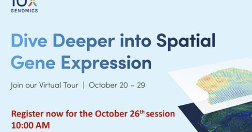 spatial gene expression