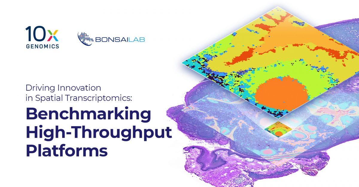 Driving Innovation in Spatial Transcriptomics: Benchmarking High ...