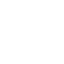 brain