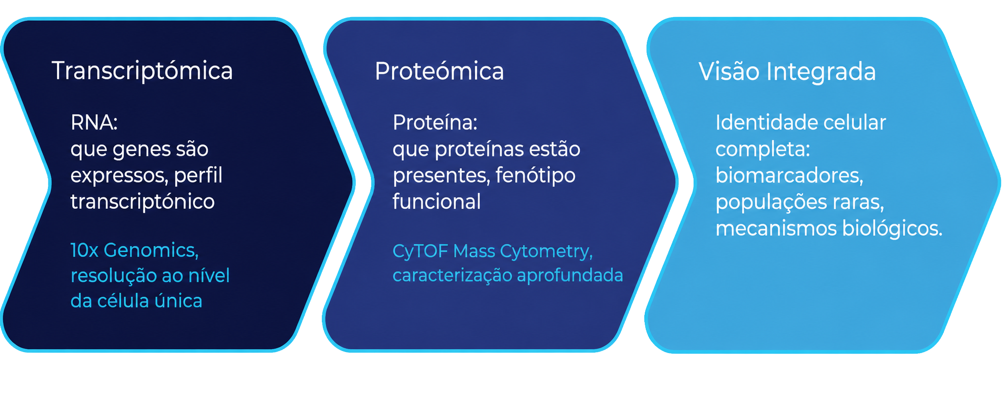 single-cell-grafico-pt3