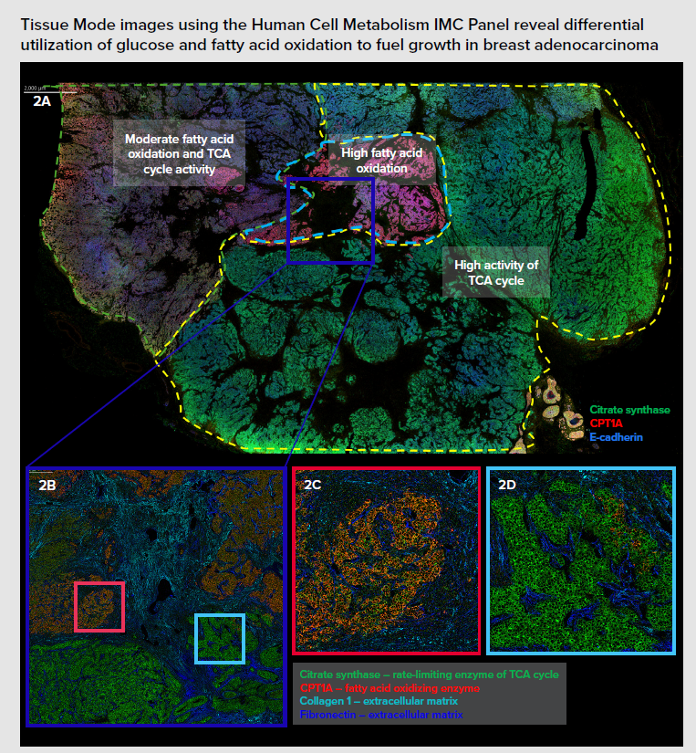 202608-hyperion-blog5